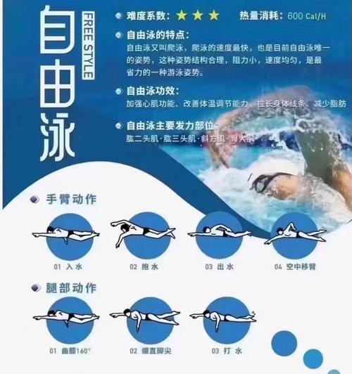 游泳算是有氧还是无氧_游泳有氧无氧看强度，减肥增肌都适合