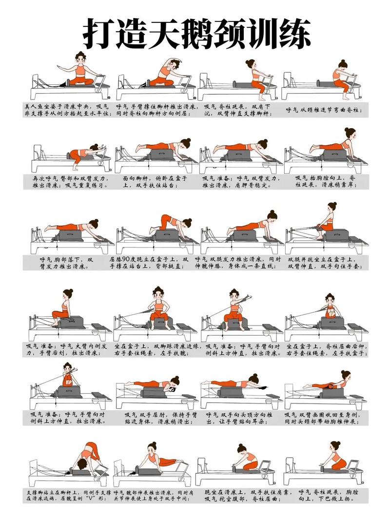 普拉提初级十个动作_普拉提塑形强身，提升核心与协调