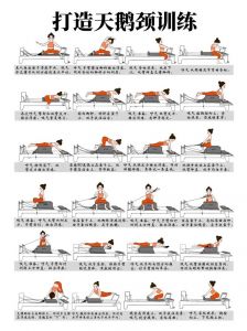 普拉提初级十个动作_普拉提塑形强身，提升核心与协调