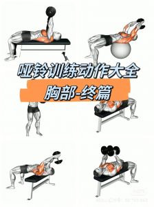 1kg哑铃女士的正确锻炼方法_高次数练出紧致线条