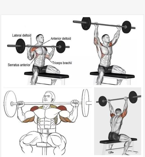 杠铃经典10个动作图片_练腿强身，姿势要对