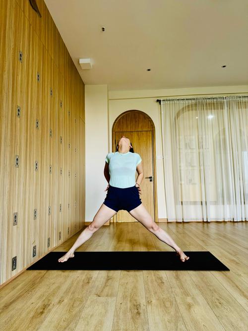 艾扬格瑜伽适合哪些人_精准体式,适合所有人群 艾扬格瑜伽适合哪些人_精准体式,适合所有人群