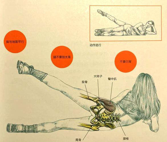 臀腿训练10个经典动作_史密斯机深蹲塑臀腿,拉伸增形防损伤 臀腿训练10个经典动作_史密斯机深蹲塑臀腿,拉伸增形防损伤