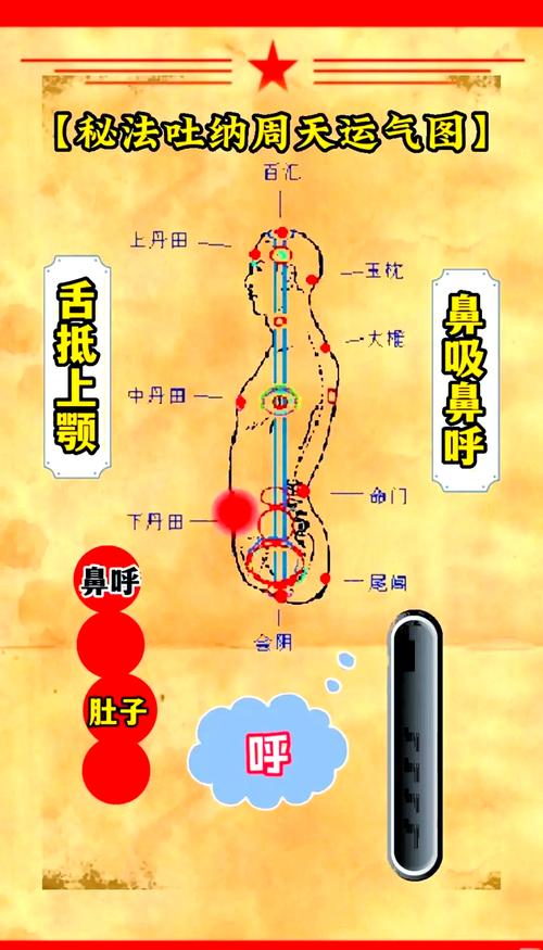 吐纳的正确练法_身心合一,放松减压好方法 吐纳的正确练法_身心合一,放松减压好方法