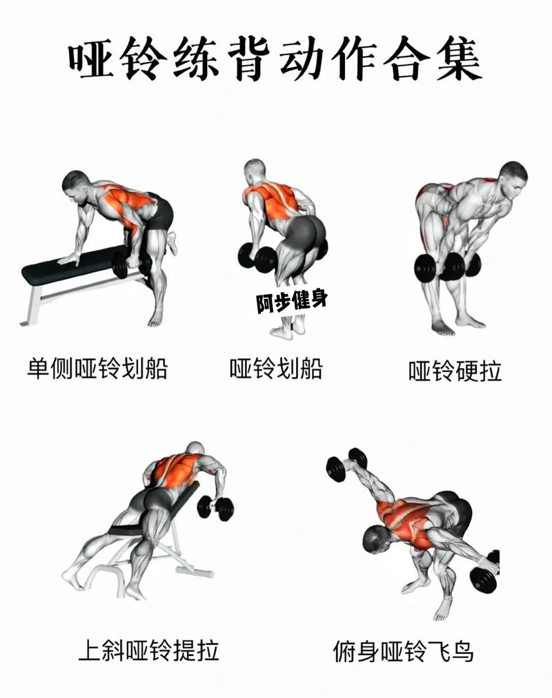 哑铃经典10个动作图片_哑铃50动作全身练，胸肩臂轻松塑形