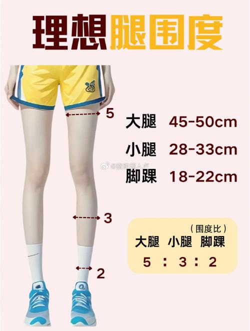 女生大腿小腿围对照表_腿围标准范围及测量方法