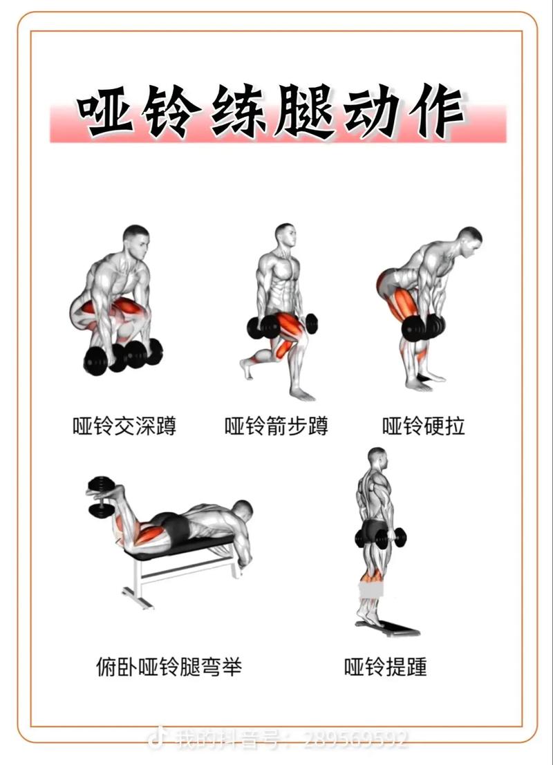 上肢力量训练适合多大的哑铃_新手女生练手臂，2kg哑铃起步！