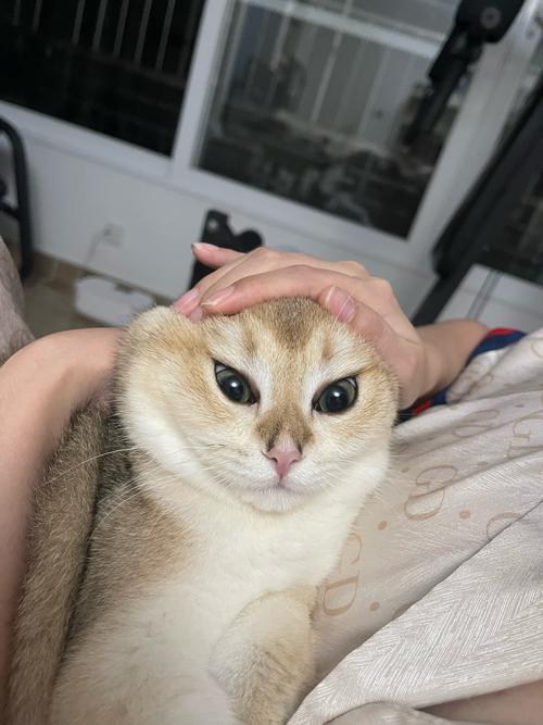 把头发扎紧会能让脸部变紧吗_扎头发能暂时提拉脸？效果短暂要健康