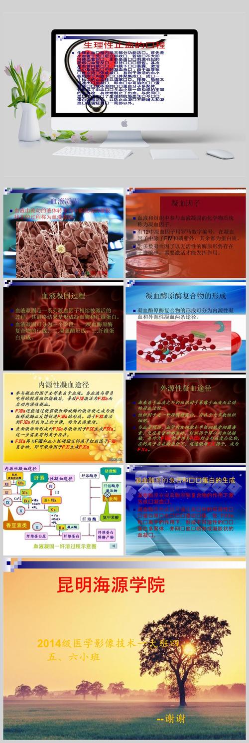 血液凝固三个基本步骤_人体止血靠凝血,内外凝血有不同 血液凝固三个基本步骤_人体止血靠凝血,内外凝血有不同