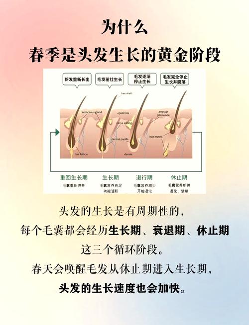 种植头发能维持几年_植发效果能维持多久？