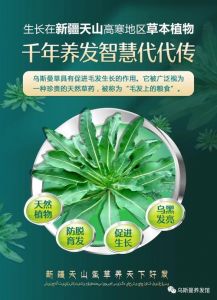 乌斯曼草真的能生头发吗_乌斯曼草或能生发？了解其作用与注意事项