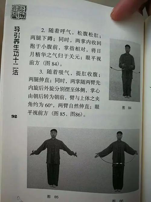 导引养生功十二法全套演练_放松身心，提升活力
