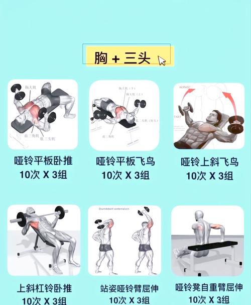 基础锻炼身体方法_在家无器械全身健身，快走有氧，坚持有效！