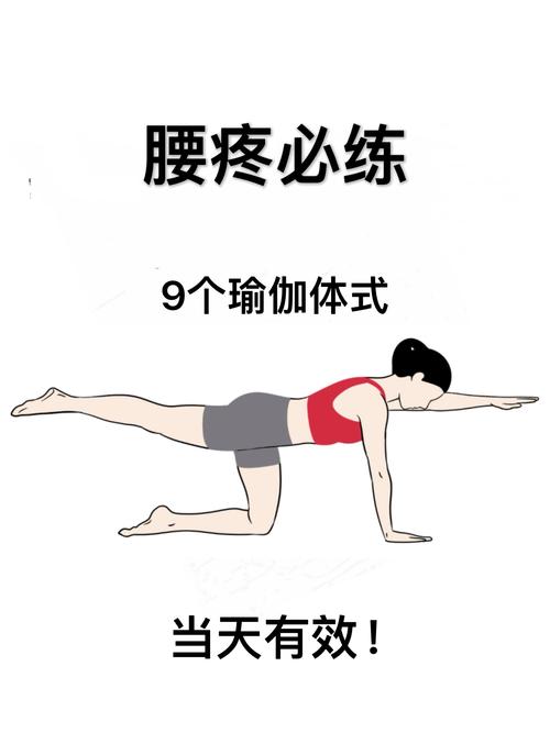 减腰两侧的赘肉的动作_告别腰侧赘肉，练好核心！