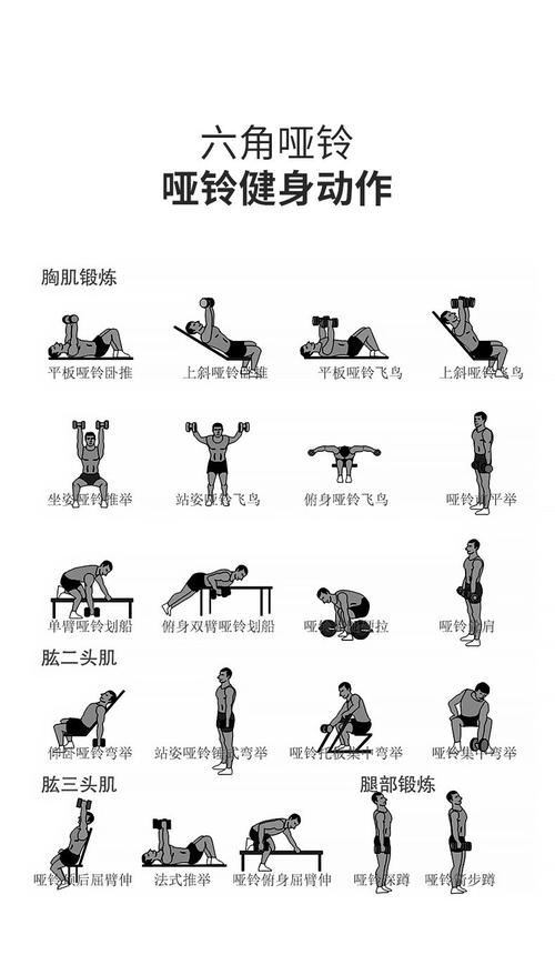 53种健身动作_哑铃塑形，坚持出效果