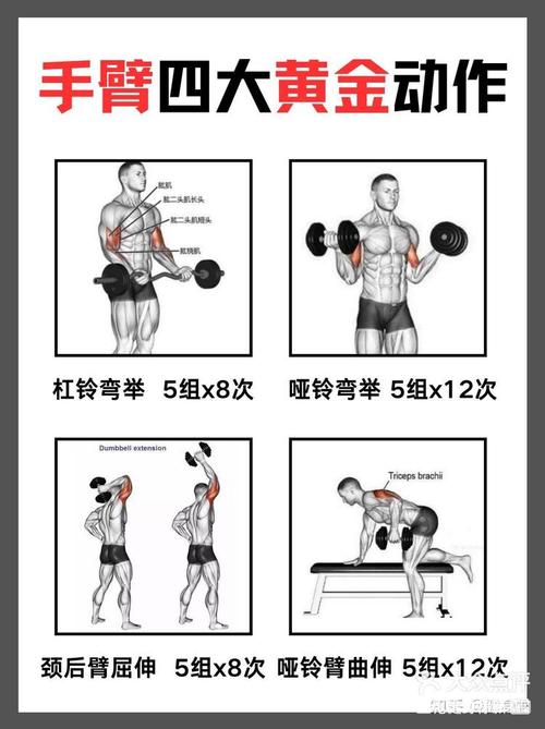 男人每天必练8个动作_居家锻炼核心动作，告别久坐虚弱