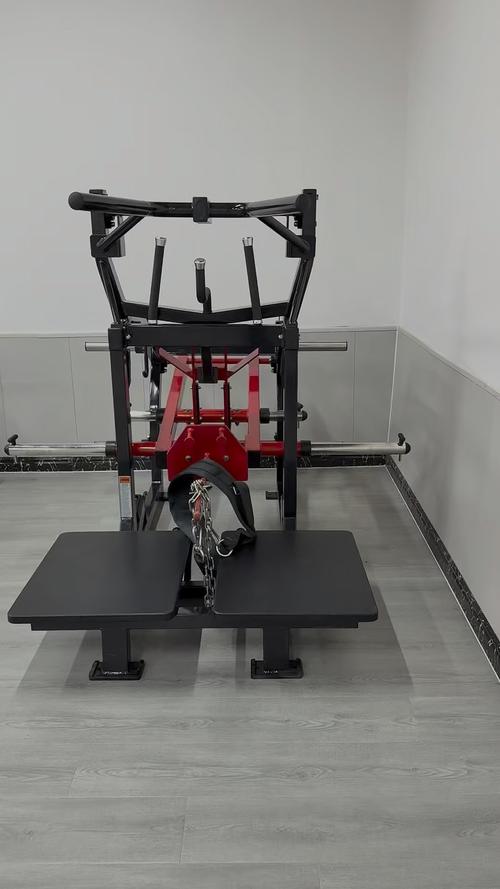 用肩扛的深蹲器械叫什么_史密斯VS自由，练出壮腿臀