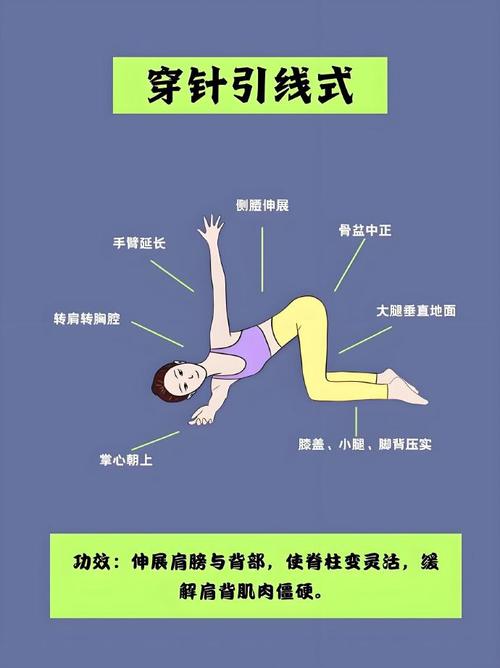 新手居家背部训练计划_弹力带练背，改善体态挺拔身