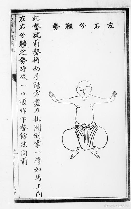 导引养生十二法动作基本要求_闭眼宁神调呼吸，活动手脚养生法