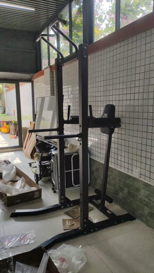 练引体向上的健身器材_家用引体向上器怎么选？便携安全最重要！