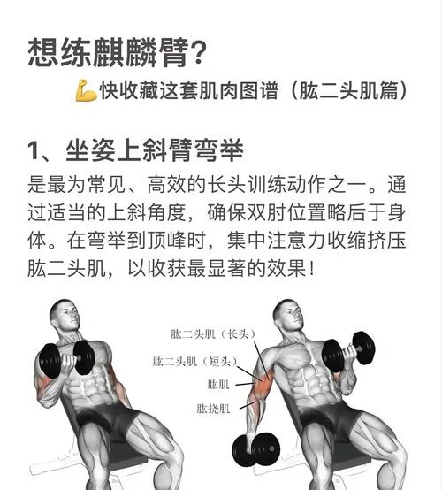 增加臂力的锻炼方法_重量渐进，规范动作增肌