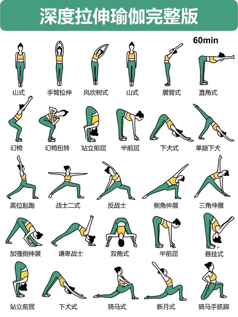 基础瑜伽动作入门_挺拔柔韧身心安