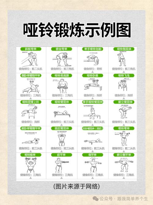 5kg哑铃能练肌肉吗_5kg哑铃新手增肌好帮手