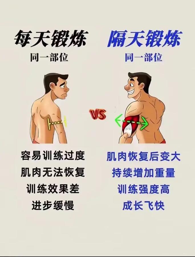 天天练腹肌好还是隔天_腹肌训练频率因人而异