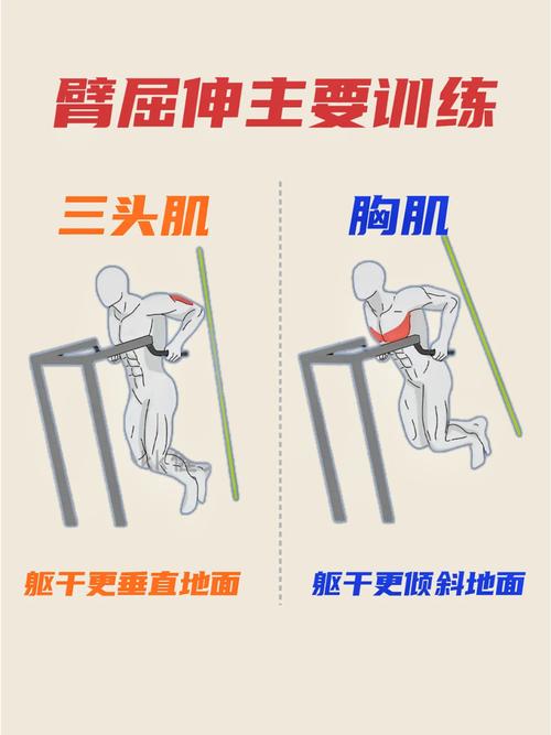 撑双杠锻炼哪里肌肉_双杠臂屈伸练全身，胸三头肌核心都不落！