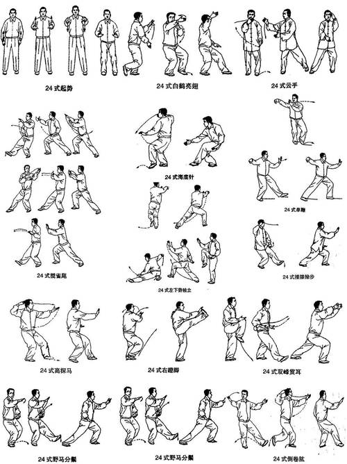 武术基本功与基本动作_6个简易武术入门练法，强身健体！
