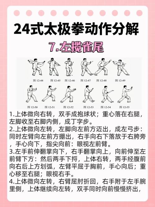 武术的12个基本动作_攻防兼备,基础入门 武术的12个基本动作_攻防兼备,基础入门