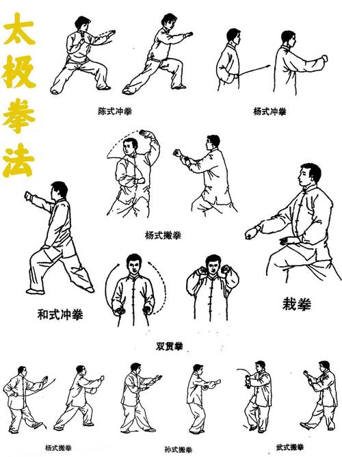 武术的十二个基本动作_武术摆掌撩掌等动作，提升协调攻防意识