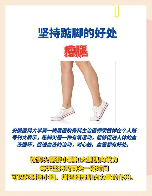 踮脚尖是为了锻炼神经根吗_简单护腿又塑形 踮脚尖是为了锻炼神经根吗_简单护腿又塑形