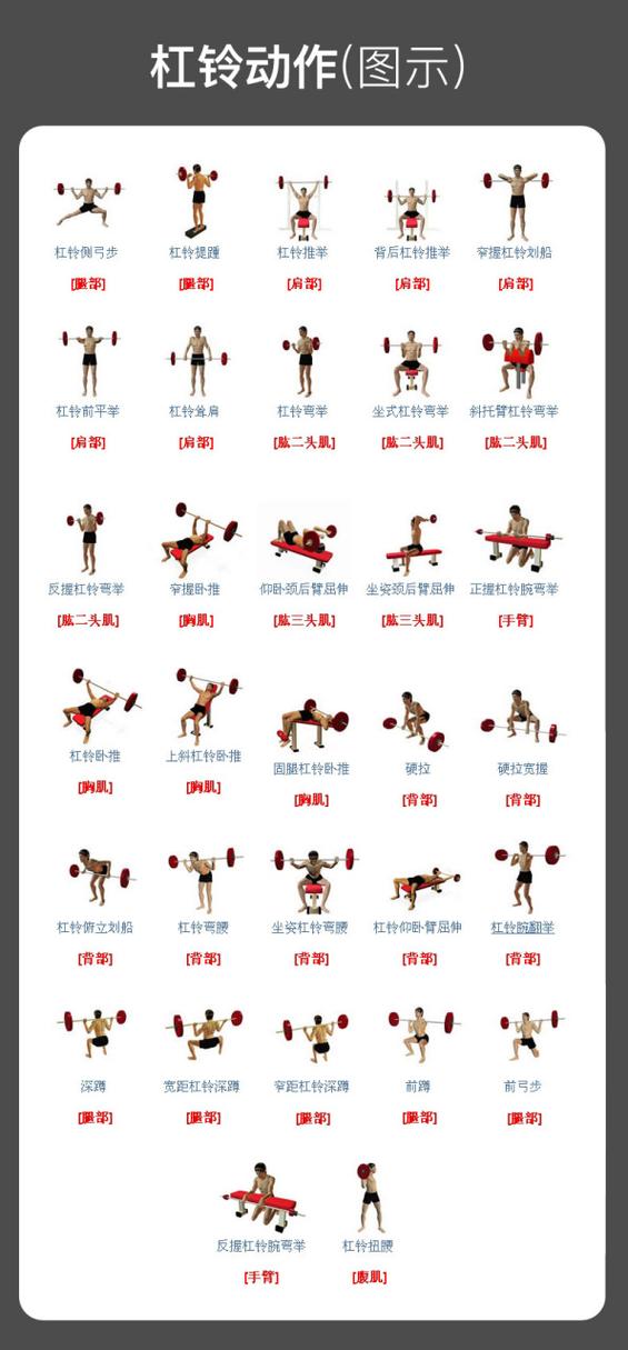 一组哑铃动作练全身_多部位训练动作详解