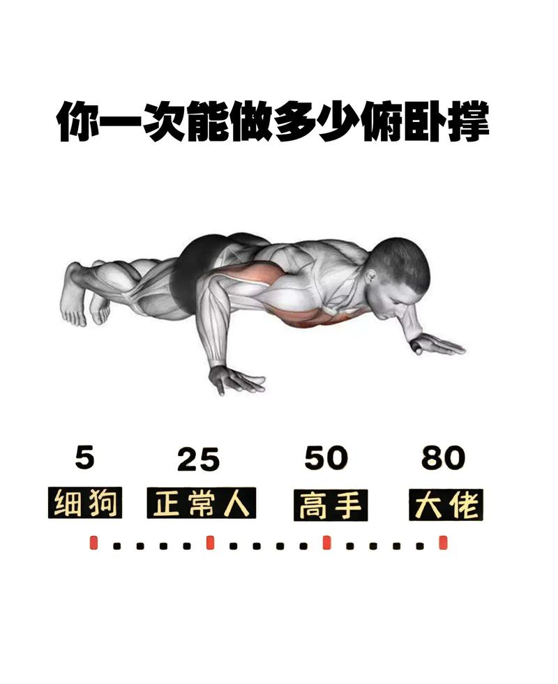 俯卧撑能练肱二头肌吗_俯卧撑练胸好,二头肌刺激少 俯卧撑能练肱二头肌吗_俯卧撑练胸好,二头肌刺激少