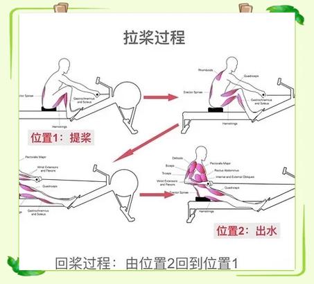 水阻划船机锻炼身体哪个部位_高效燃脂塑形,关节友好 水阻划船机锻炼身体哪个部位_高效燃脂塑形,关节友好