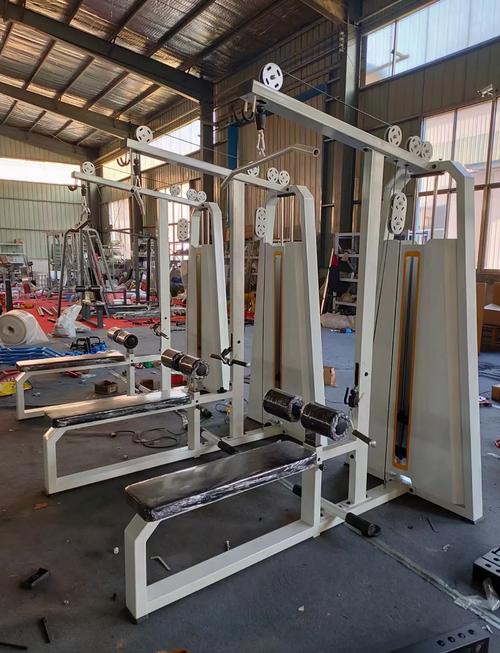 高拉推举双功能训练器使用_高拉背推胸器使用指南,练出好身材! 高拉推举双功能训练器使用_高拉背推胸器使用指南,练出好身材!