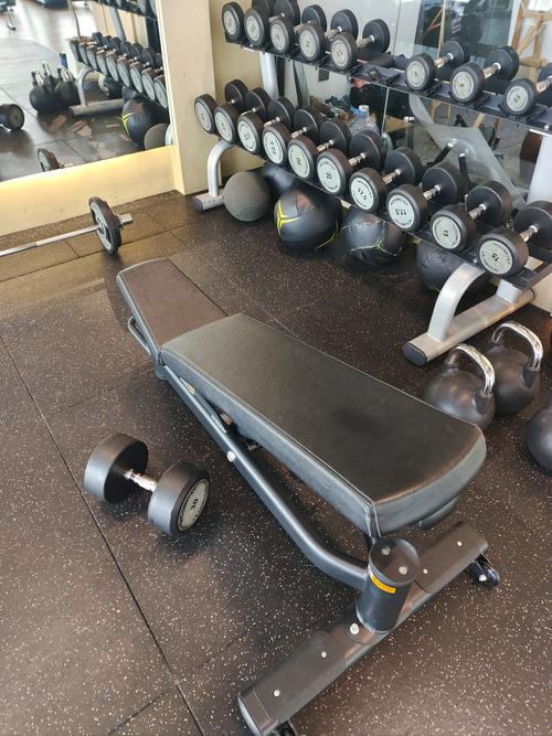 做卧推的器械叫什么_卧推器械练胸肩臂,新手从杠铃开始 做卧推的器械叫什么_卧推器械练胸肩臂,新手从杠铃开始