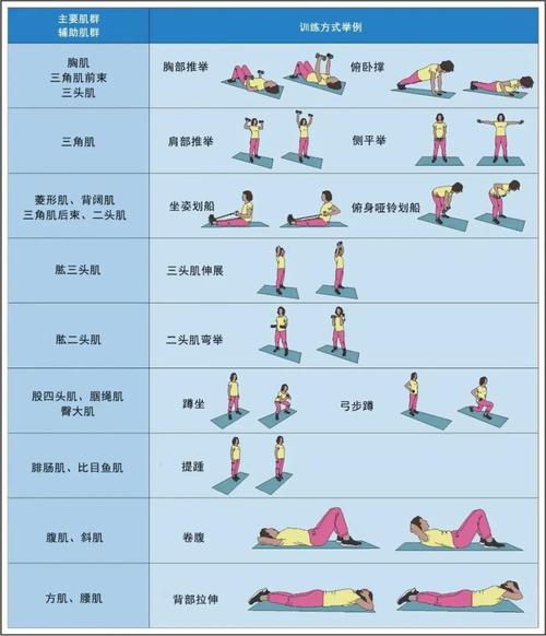 抗阻圈的正确锻炼方法_颜色选对,动作标准,每周练两次! 抗阻圈的正确锻炼方法_颜色选对,动作标准,每周练两次!