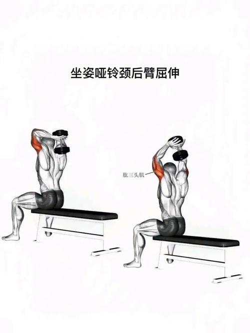屈臂撑练什么肌肉_屈臂撑练胸肱三头肌，动作要领与常见错误