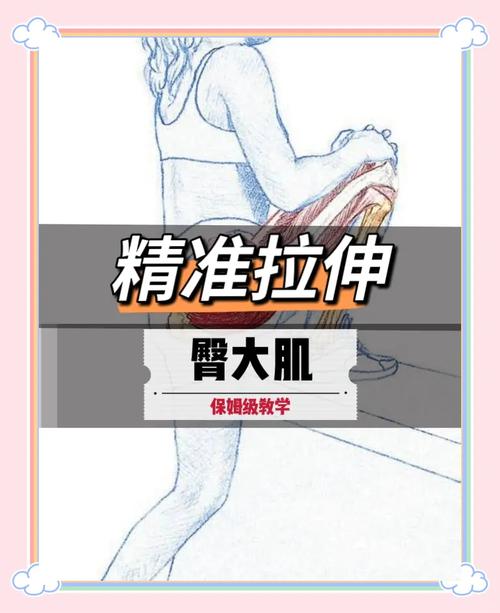 臀大肌的训练方法_练好臀大肌,稳住身体少疼痛 臀大肌的训练方法_练好臀大肌,稳住身体少疼痛