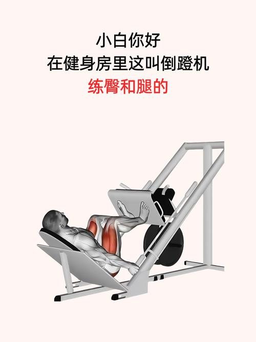 扛在肩上练臀腿的健身器械叫什么_杠铃练臀腿，增肌提力好帮手