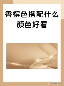 香槟色搭配10个颜色_优雅高级，时尚百搭