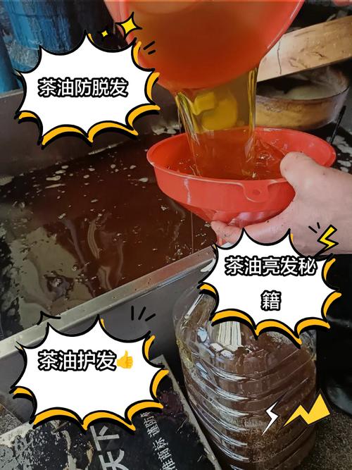 山茶油洗头发的正确方法_山茶油滋养头皮，防脱发促生长