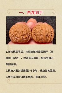 核桃打底最快的方法_核桃打底保纹路，快包浆超重要！