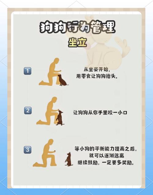 本能训练法则是一种什么法则_高效提升运动表现