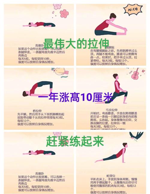 练柔韧性的动作大全_瑜伽动作提升柔韧性，缓解不适，改善生活品质