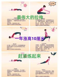 练柔韧性的动作大全_瑜伽动作提升柔韧性，缓解不适，改善生活品质