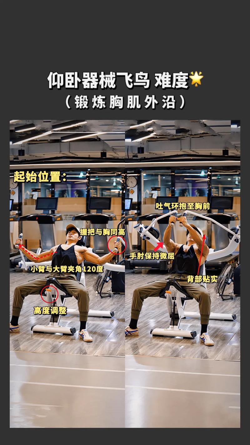 六个动作练爆你的胸肌_反向哑铃卧推练胸肌 内侧外侧都练到 六个动作练爆你的胸肌_反向哑铃卧推练胸肌 内侧外侧都练到