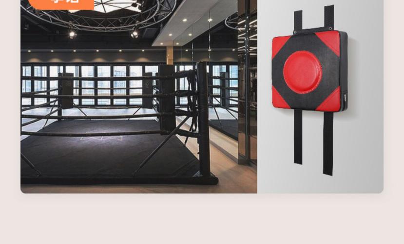 拳击训练器材_在家高效练拳必备